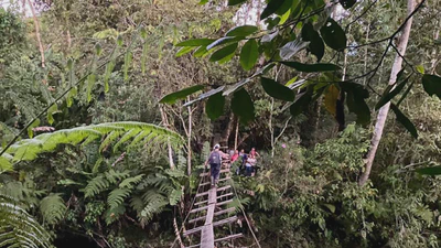 Bosque de Galilea: el costo socioterritorial de los bonos de carbono featured image