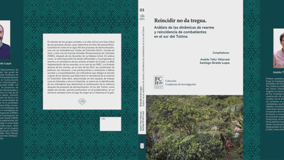 Reincidir no da tregua. Análisis de las dinámicas de rearme y reincidencia de combatientes en el sur del Tolima featured image